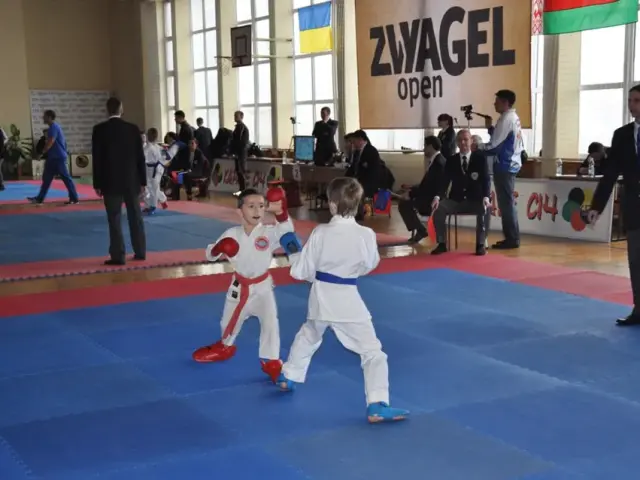 Zvyagel Open 2015
