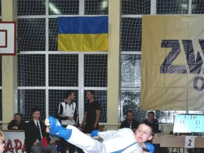 Zvyagel Open 2015