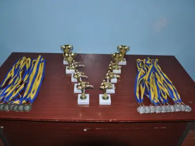 Внутрішньоклубний турнір з карате WKF, 2015