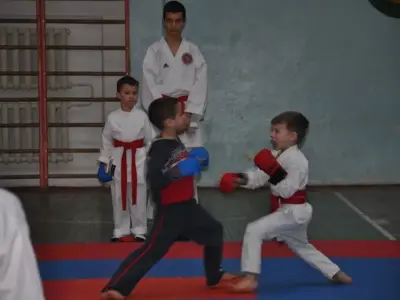 Внутрішньоклубний турнір з карате WKF, 2015