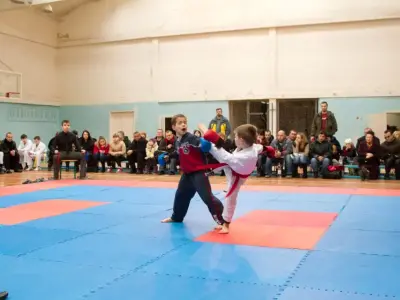 Внутрішньоклубний турнір з карате WKF, 2015