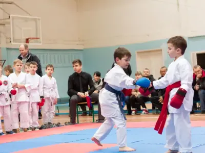 Внутрішньоклубний турнір з карате WKF, 2015