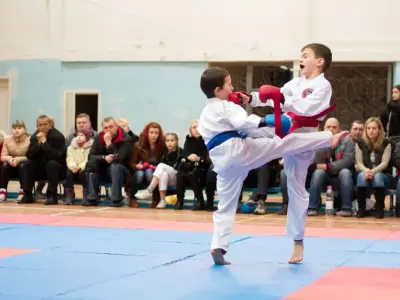 Внутрішньоклубний турнір з карате WKF, 2015