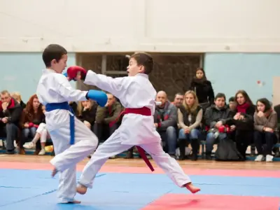 Внутрішньоклубний турнір з карате WKF, 2015