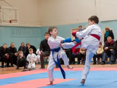 Внутрішньоклубний турнір з карате WKF, 2015