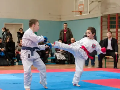 Внутрішньоклубний турнір з карате WKF, 2015
