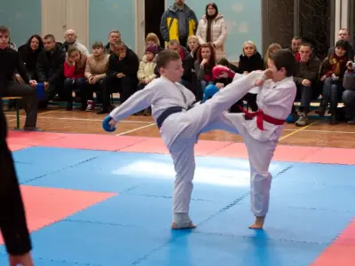 Внутрішньоклубний турнір з карате WKF, 2015