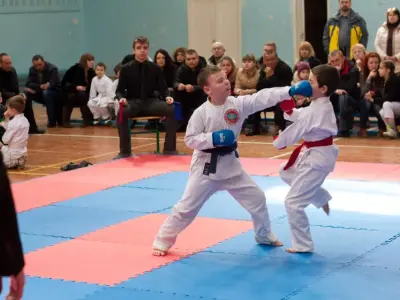Внутрішньоклубний турнір з карате WKF, 2015