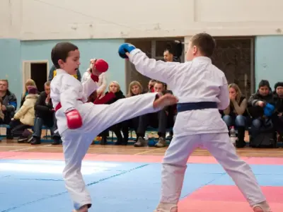 Внутрішньоклубний турнір з карате WKF, 2015
