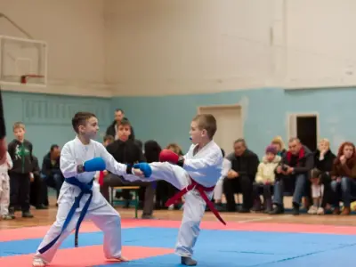 Внутрішньоклубний турнір з карате WKF, 2015
