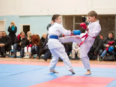 Внутрішньоклубний турнір з карате WKF, 2015