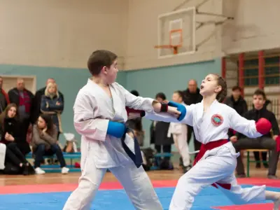 Внутрішньоклубний турнір з карате WKF, 2015