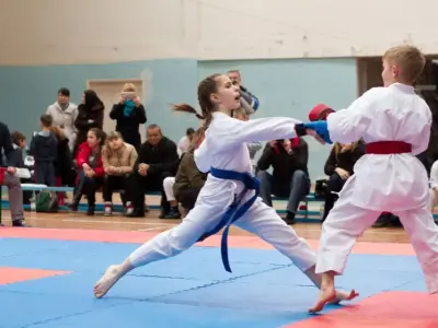 Внутрішньоклубний турнір з карате WKF, 2015