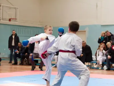 Внутрішньоклубний турнір з карате WKF, 2015