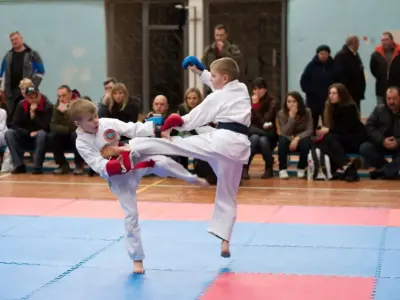 Внутрішньоклубний турнір з карате WKF, 2015