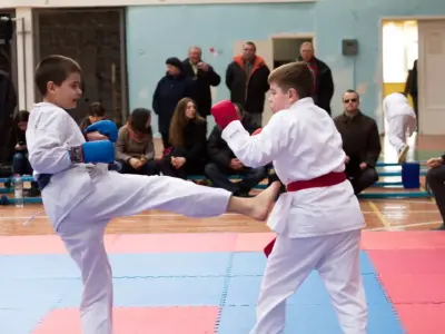 Внутрішньоклубний турнір з карате WKF, 2015