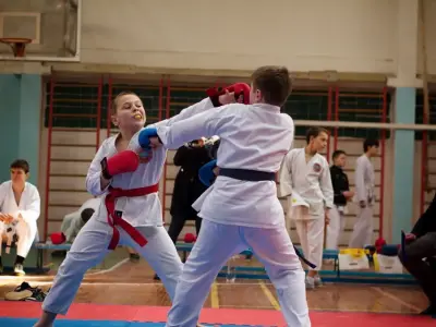 Внутрішньоклубний турнір з карате WKF, 2015