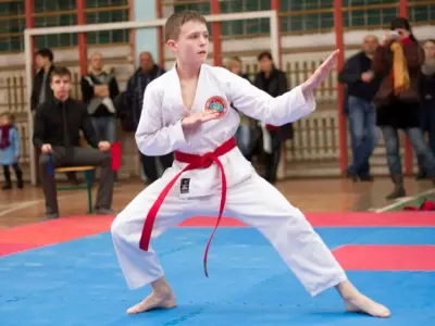 Внутрішньоклубний турнір з карате WKF, 2015