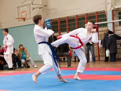 Внутрішньоклубний турнір з карате WKF, 2015