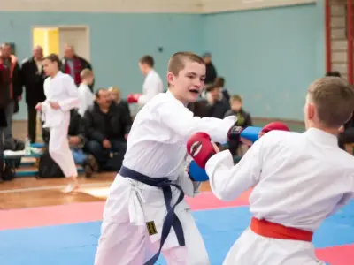 Внутрішньоклубний турнір з карате WKF, 2015