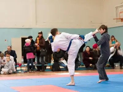 Внутрішньоклубний турнір з карате WKF, 2015