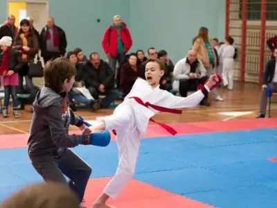 Внутрішньоклубний турнір з карате WKF, 2015