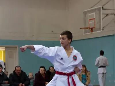 Внутрішньоклубний турнір з карате WKF, 2015