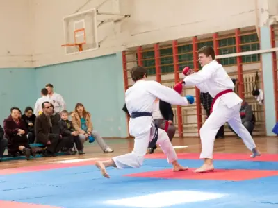 Внутрішньоклубний турнір з карате WKF, 2015