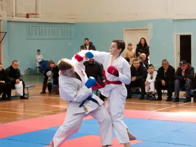 Внутрішньоклубний турнір з карате WKF, 2015