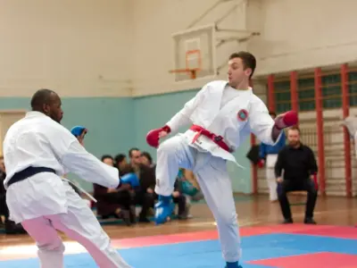 Внутрішньоклубний турнір з карате WKF, 2015