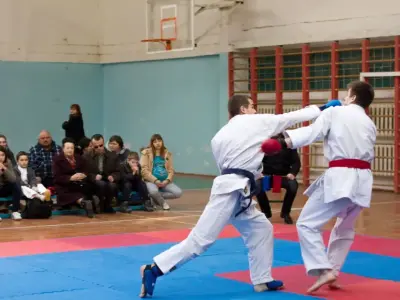 Внутрішньоклубний турнір з карате WKF, 2015
