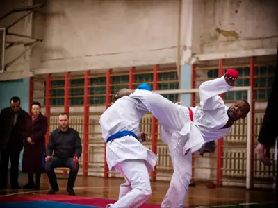 Внутрішньоклубний турнір з карате WKF, 2015