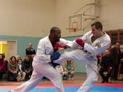 Внутрішньоклубний турнір з карате WKF, 2015