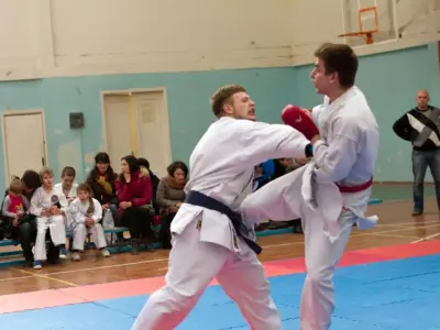 Внутрішньоклубний турнір з карате WKF, 2015