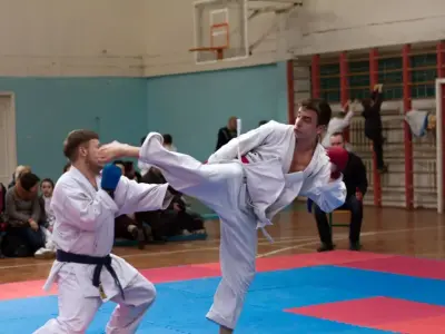 Внутрішньоклубний турнір з карате WKF, 2015