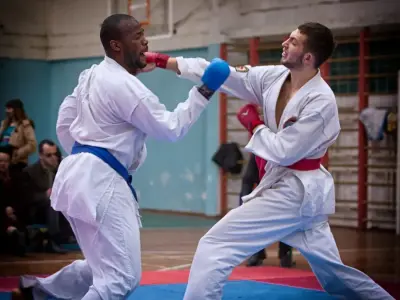 Внутрішньоклубний турнір з карате WKF, 2015
