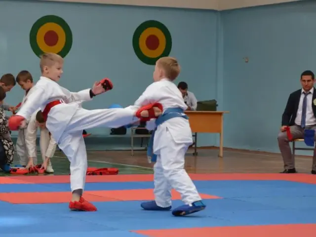Відбірковий турнір з карате WKF, жовтень 2015