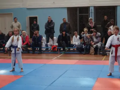 Відбірковий турнір з карате WKF, жовтень 2015
