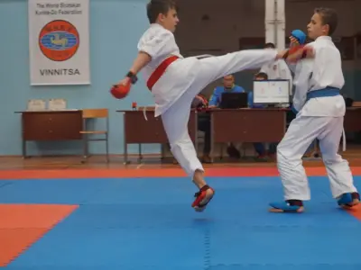 Відбірковий турнір з карате WKF, жовтень 2015
