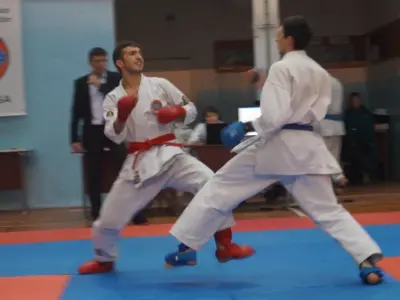 Відбірковий турнір з карате WKF, жовтень 2015