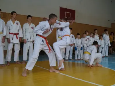 Показовий виступ у школі №23, 2015