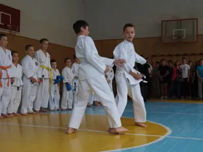 Показовий виступ у школі №23, 2015