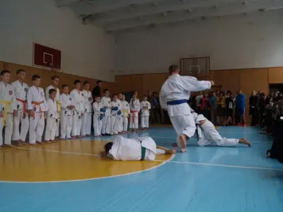 Показовий виступ у школі №23, 2015