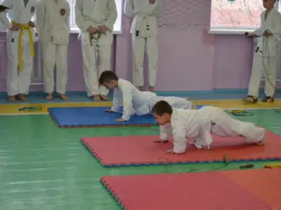 Передноворічний турнір Karate Crossfit, 2015