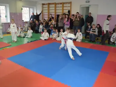Передноворічний турнір Karate Crossfit, 2015