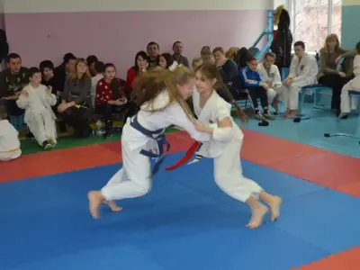 Передноворічний турнір Karate Crossfit, 2015