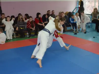 Передноворічний турнір Karate Crossfit, 2015