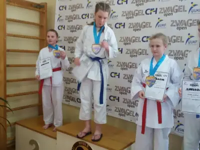 Zvyagel Open 2016