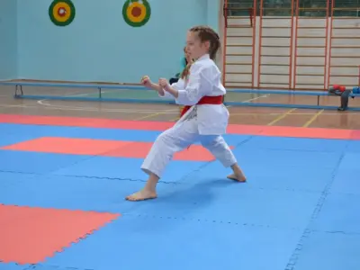 Турнір VINNITSA-CUP 2016