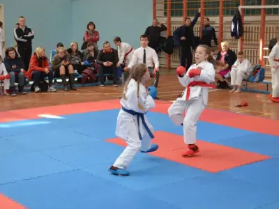 Турнір VINNITSA-CUP 2016